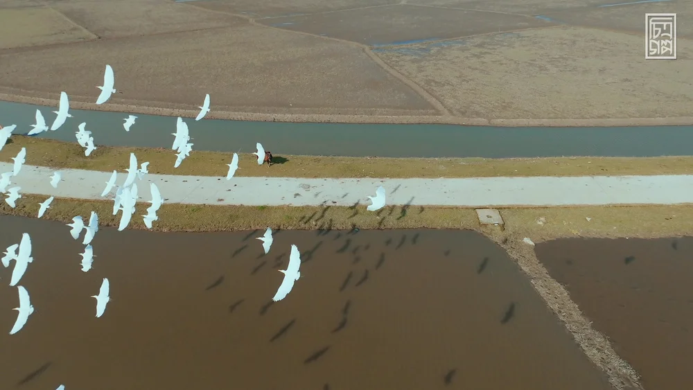 Thumbnail for ছবি তোলার চিপায় কিছু ভিডিও নিয়েছিলো আরাফাত video