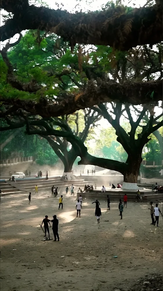 Thumbnail for Childhood memory reel